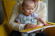 Load image into Gallery viewer, Let's Go Ruru